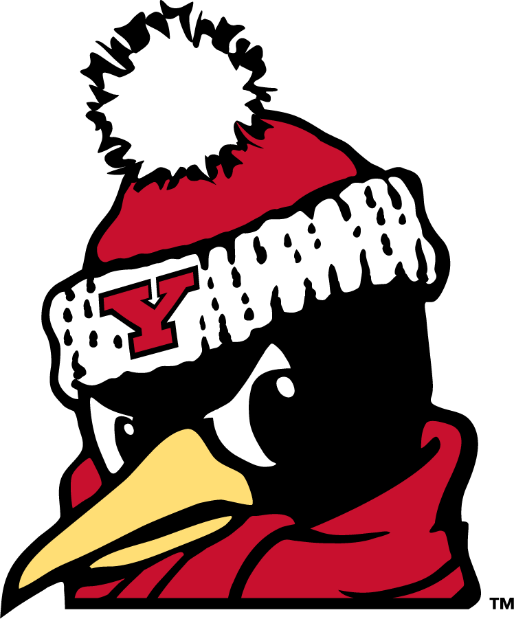 Youngstown State Penguins 2018-Pres Secondary Logo v6 diy DTF decal sticker